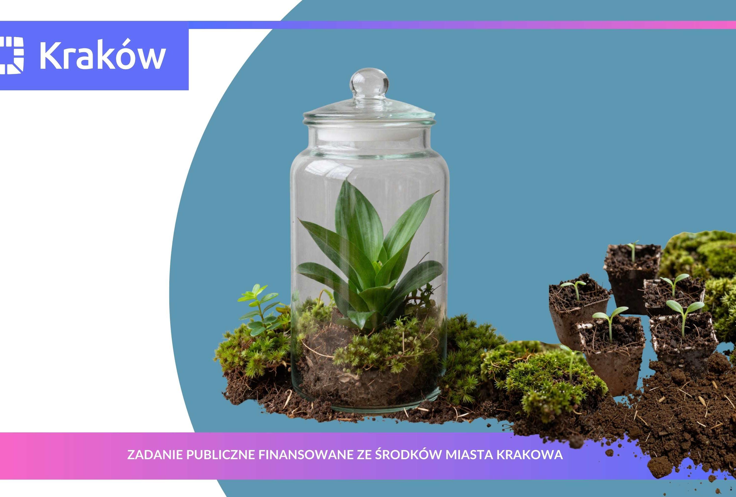 Ogrody w słoju – tworzenie małych ekosystemów dla dzieci i młodzieży 